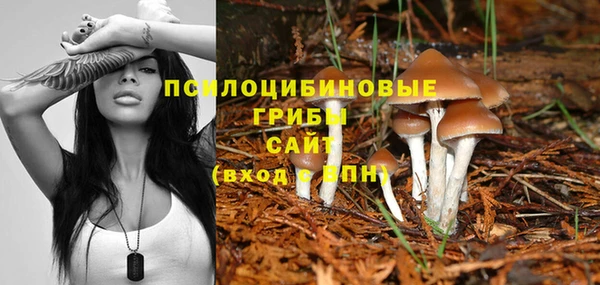 гидропоника Белоозёрский