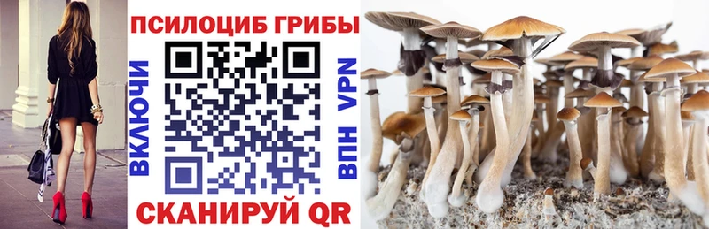 Галлюциногенные грибы мухоморы  Макаров 